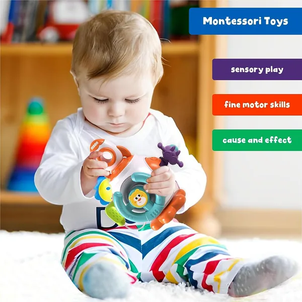 TL2022 Montessori Toys for Baby Sensory Learning Resources Car Acti
